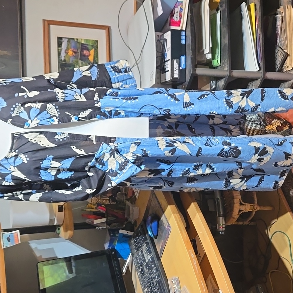 Black and Sky Blue Floral Button-Front Dress